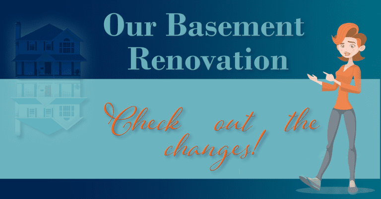 Basement Renovation cover image